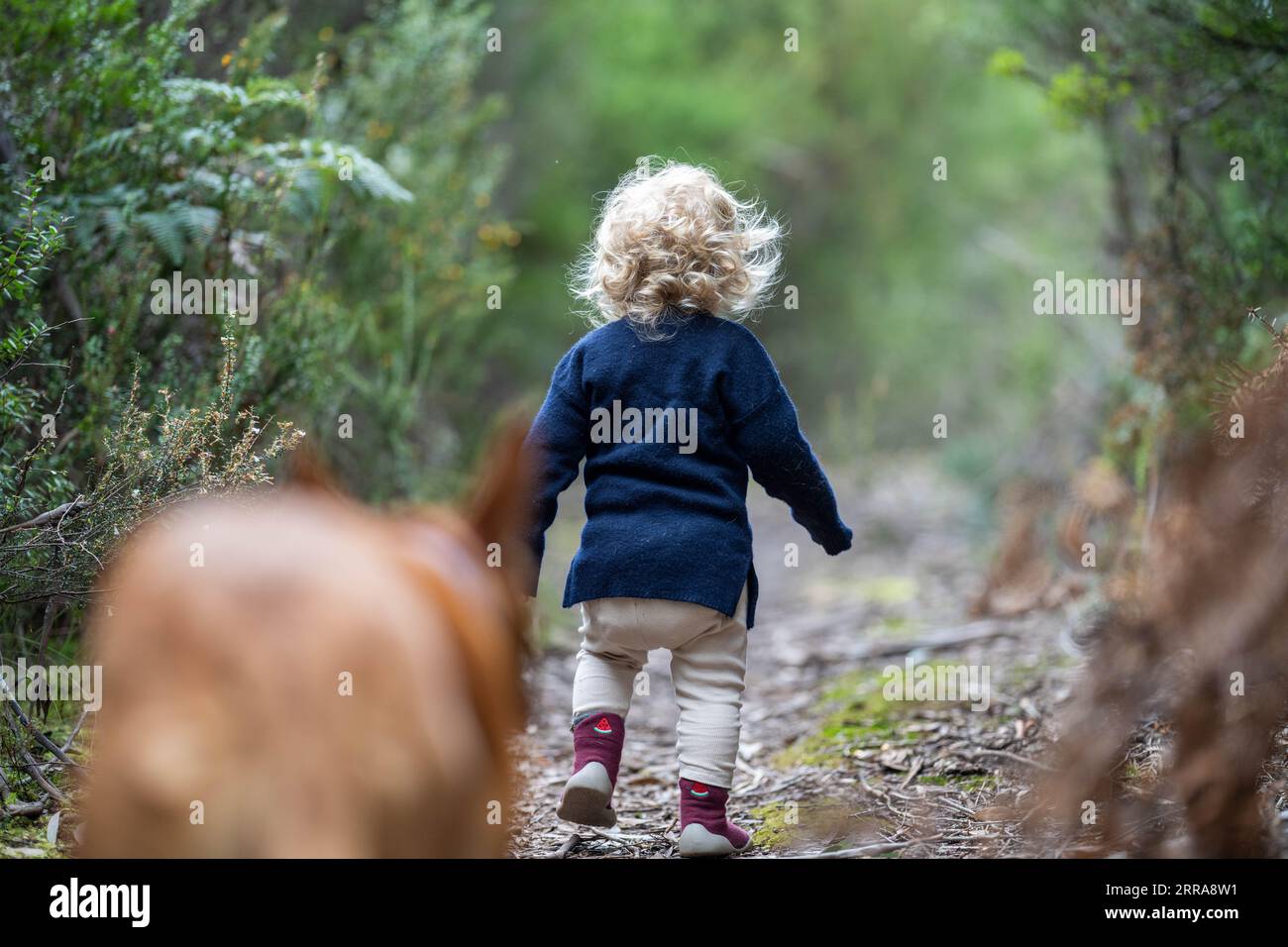baby running down a path in the bush in america Stock Photo - Alamy