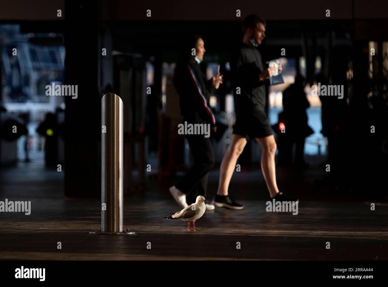 210724 -- SYDNEY, July 24, 2021 -- People walk on a street in Sydney, Australia, July 24, 2021. As the pandemic outbreak in Australian state of New South Wales NSW continues to surge, state authorities declared on Friday the outbreak a national emergency, calling for redirection of national vaccine supplies.  AUSTRALIA-SYDNEY-COVID-19-NATIONAL EMERGENCY BaixXuefei PUBLICATIONxNOTxINxCHN Stock Photo