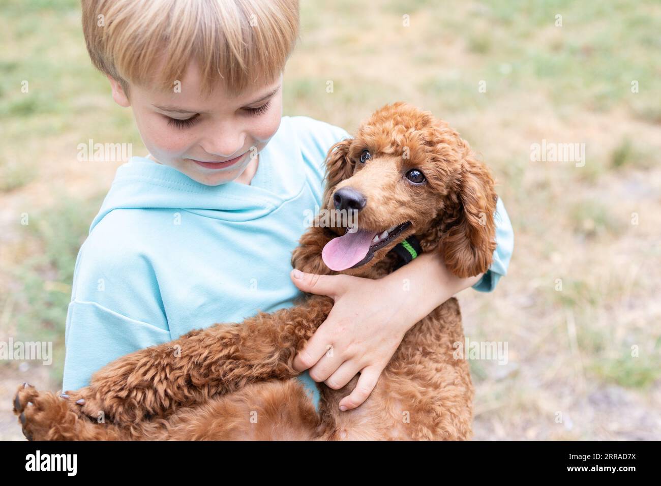 little boy is holding a brown poodle puppy in his arms. close-up of the face of a boy and a beloved pet. dog day. Happy childhood with a furry friend. Stock Photo