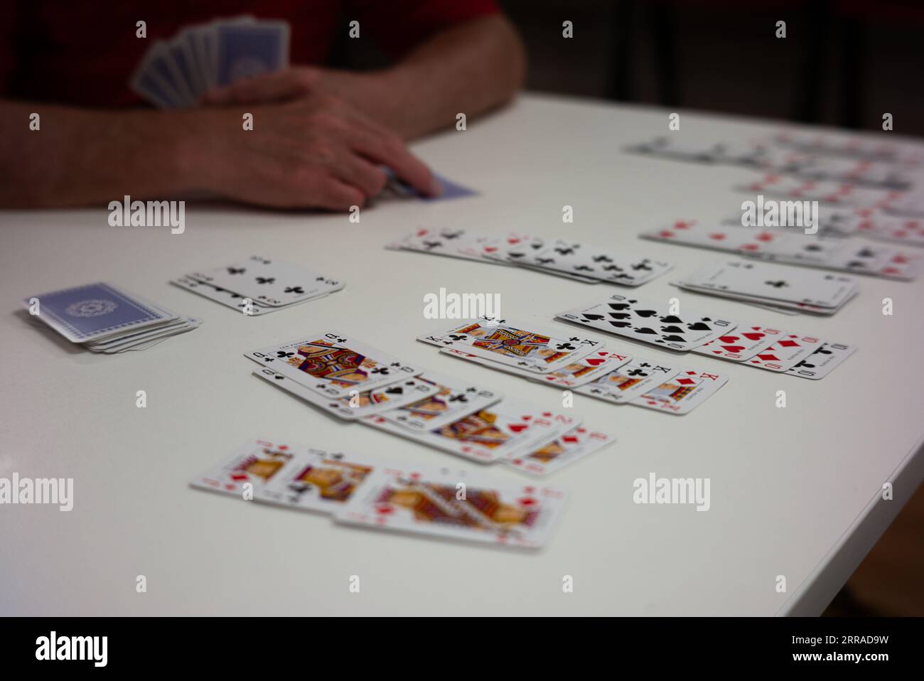 Playing a game of Canasta Stock Photo