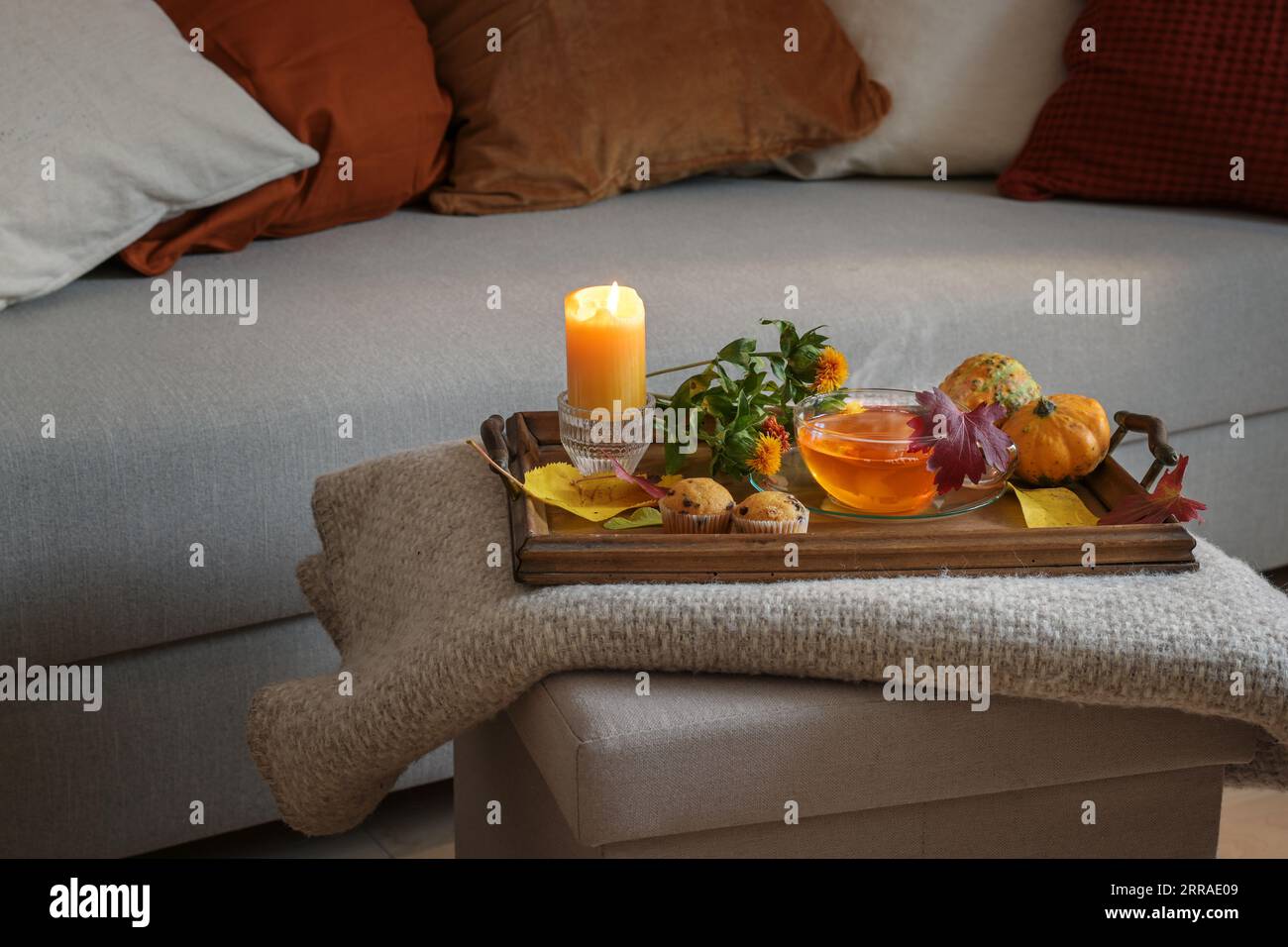 Cup of hot tea served on a wooden tray with candle, flowers, pumpkins and biscuits on a woolen blanket at the couch, cozy autumn at home, copy space, Stock Photo