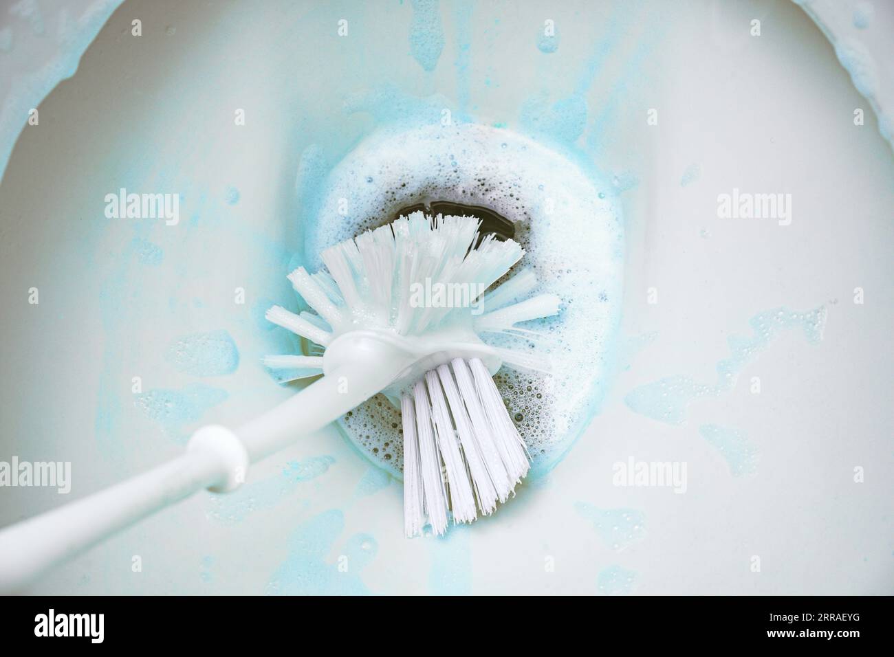 Cleaning a toilet bowl with a brush and strong chemical cleaning foam that pollutes the environment, concept for excessive hygiene versus sustainabili Stock Photo