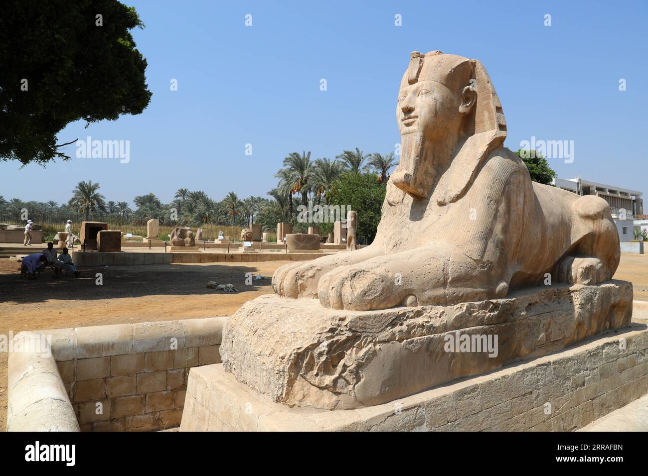 210728 -- CAIRO, July 28, 2021 -- Photo taken on July 28, 2021 shows the statue of Sphinx at the ruins of ancient Egyptian city of Memphis, around 23 kilometers southwest to Cairo, capital of Egypt. Memphis, founded around 3,100 BC, was the capital of ancient Egypt during the Old Kingdom spanning from 2700-2200 BC and remained an important city throughout ancient Egyptian history. Today, the ruins of the former capital offer fragmented evidence of its past. Together with its necropolis the pyramid fields from Giza to Dahshur, Memphis was inscribed as a World Heritage Site in 1979. The site is Stock Photo