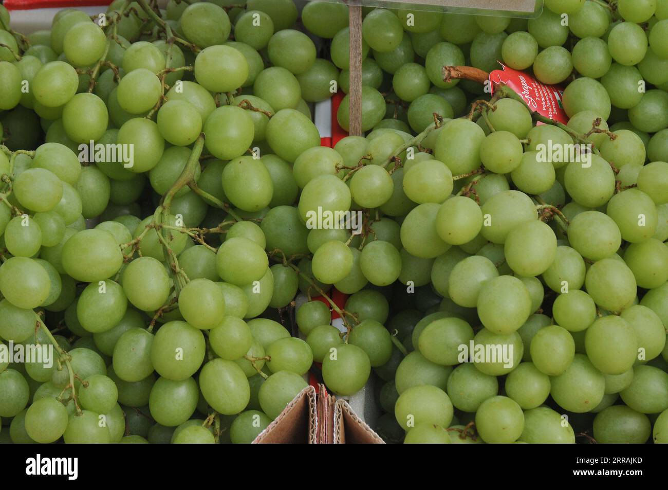 https://c8.alamy.com/comp/2RRAJKD/07-sept-2023-redn-and-green-grapes-fruit-and-vegetable-and-fruit-shoppers-at-farmers-market-in-danish-capital-copenhagen-denmark-photofrancis-joseph-deandean-pictures-2RRAJKD.jpg