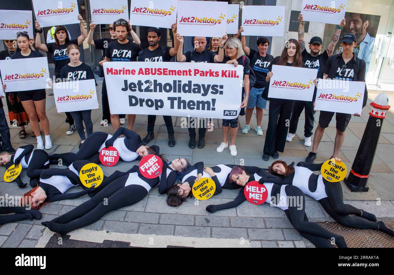 London, UK. 7th Sep, 2023. Dead Orcas lie outside the offices where Jet2 are having their annual meeting. They are urging the hoilday bcompany to not sell holidays to Marine Abusement parks. The annual meeting marks one year since PETA launched its campaign urging Jet2holidays to join other travel providers - including British Airways Holidays and Virgin Atlantic Holidays - in refusing to sell tickets to marine parks. Despite growing pressure, the company continues to promote and sell tickets to marine parks where whales and dolphins are suffering. Credit: Mark Thomas/Alamy Live News Stock Photo