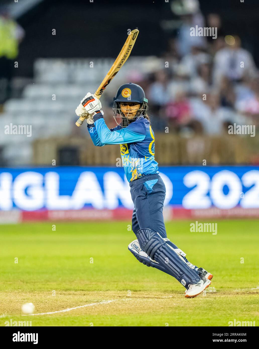 Harshitha Cricket