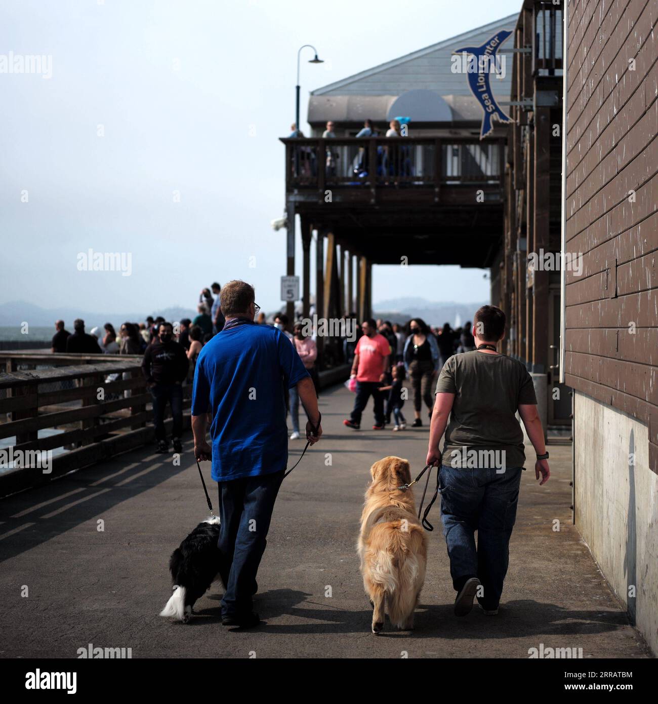 210816 -- SAN FRANCISCO, Aug. 16, 2021 -- People walk their dogs at a pier in San Francisco, the United States, on Aug. 15, 2021. San Francisco Mayor London Breed announced last Thursday that the city will require businesses in certain high-contact indoor sectors to obtain proof of vaccination from their patrons and employees for them to go inside those facilities. The health order requirement for proof of full vaccination for patrons of indoor public settings, including bars, restaurants, clubs and gyms goes into effect on Aug. 20. To preserve jobs while giving time for compliance, the proof Stock Photo