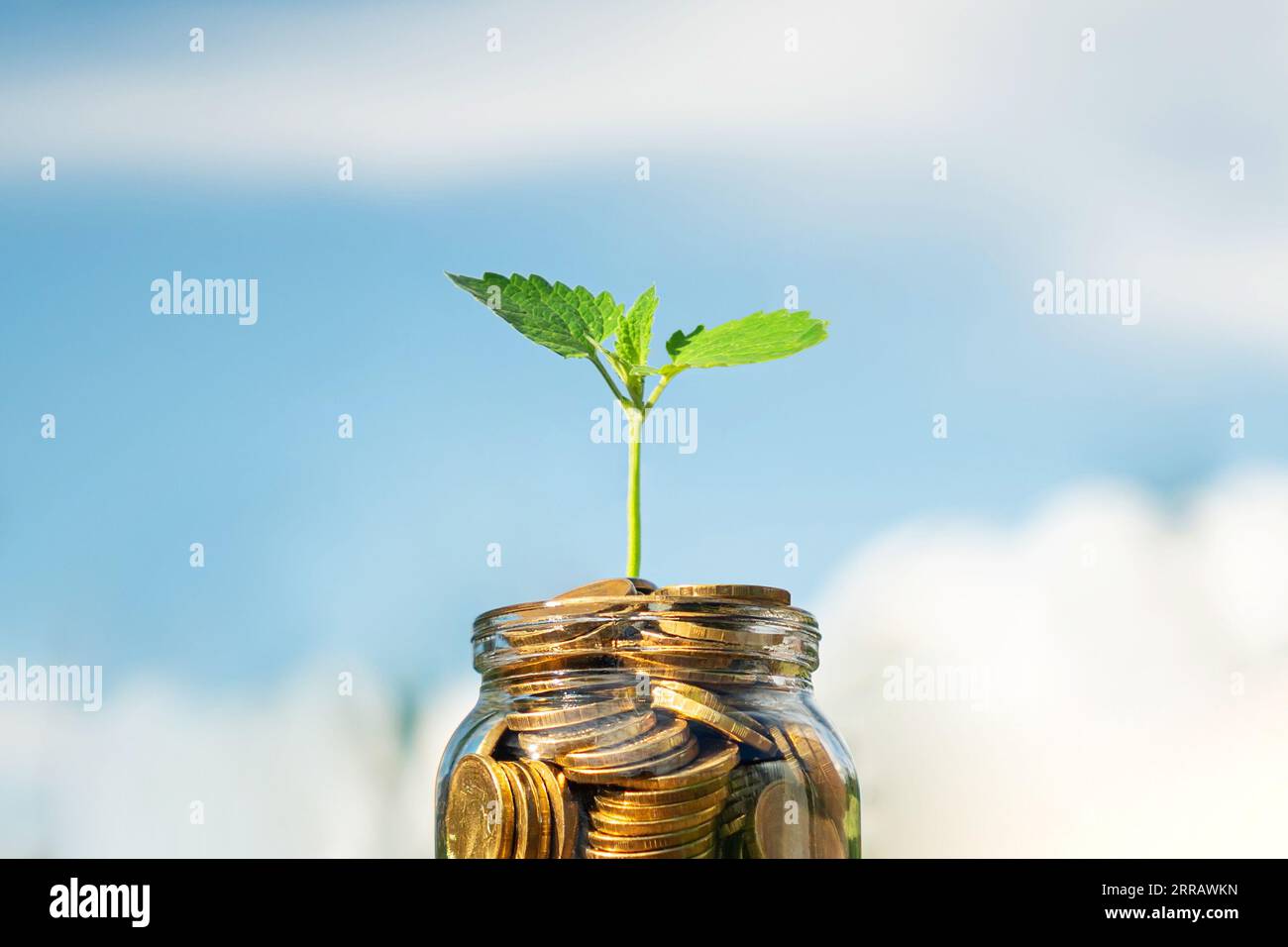 Indian rupee money green hi-res stock photography and images - Alamy
