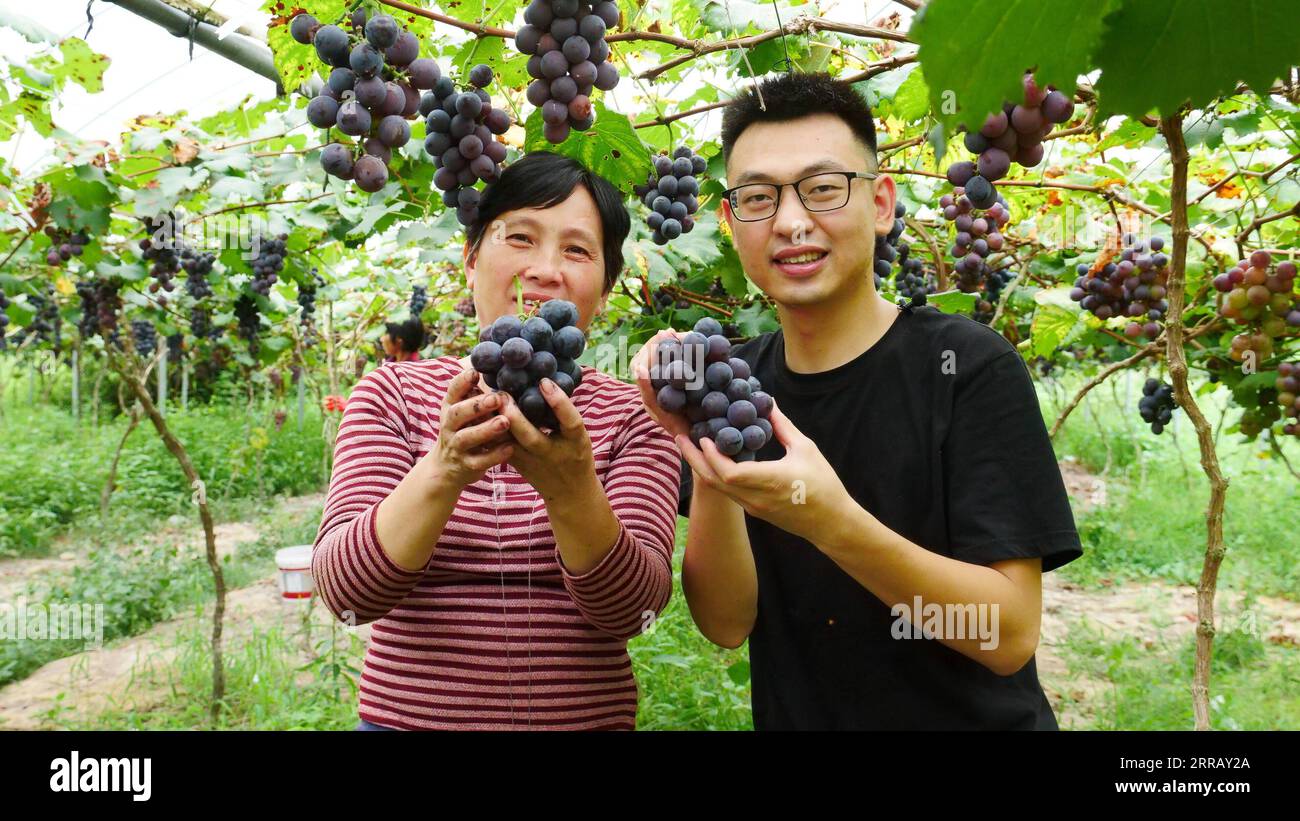 210821 -- FUZHOU, Aug. 21, 2021 -- Chen Shangyou R poses for photos with a farmer at an orchard in Xiadang Township of Ningde, southeast China s Fujian Province, Aug. 17, 2021. In 2020, Chen Shangyou, who has been engaged in the e-commerce industry, returned to Xiadang Township and set up a livestreaming team to sell local agricultural products such as tea and honey. In 2017, China proposed a rural vitalization strategy as a key move to accelerate the modernization of agriculture and rural areas, and has since adopted a host of policies to chart the roadmap for rural vitalization. As the campa Stock Photo