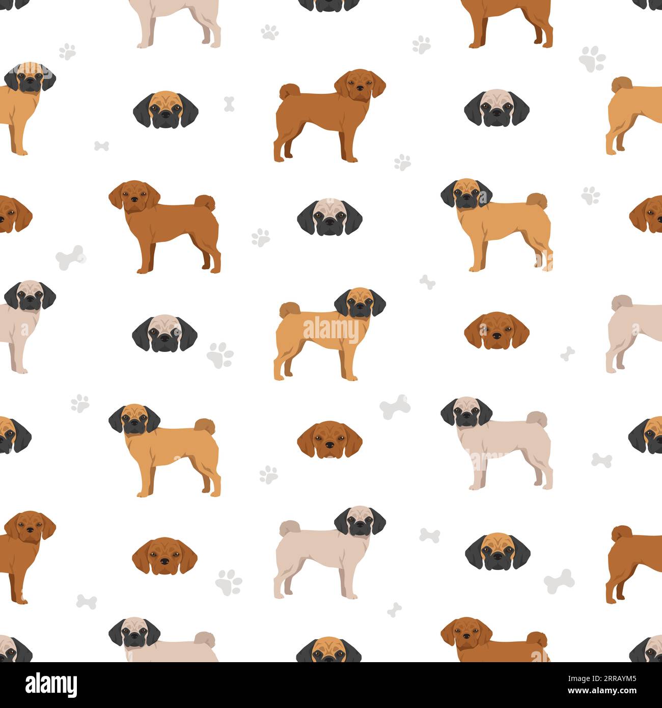 Puggle seamless pattern. Pug beagle mix. Different coat colors set