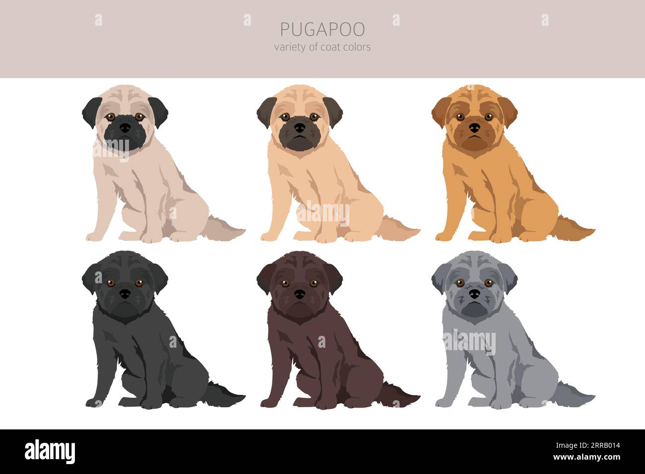 Color Swatch Pug - Color swatch pug