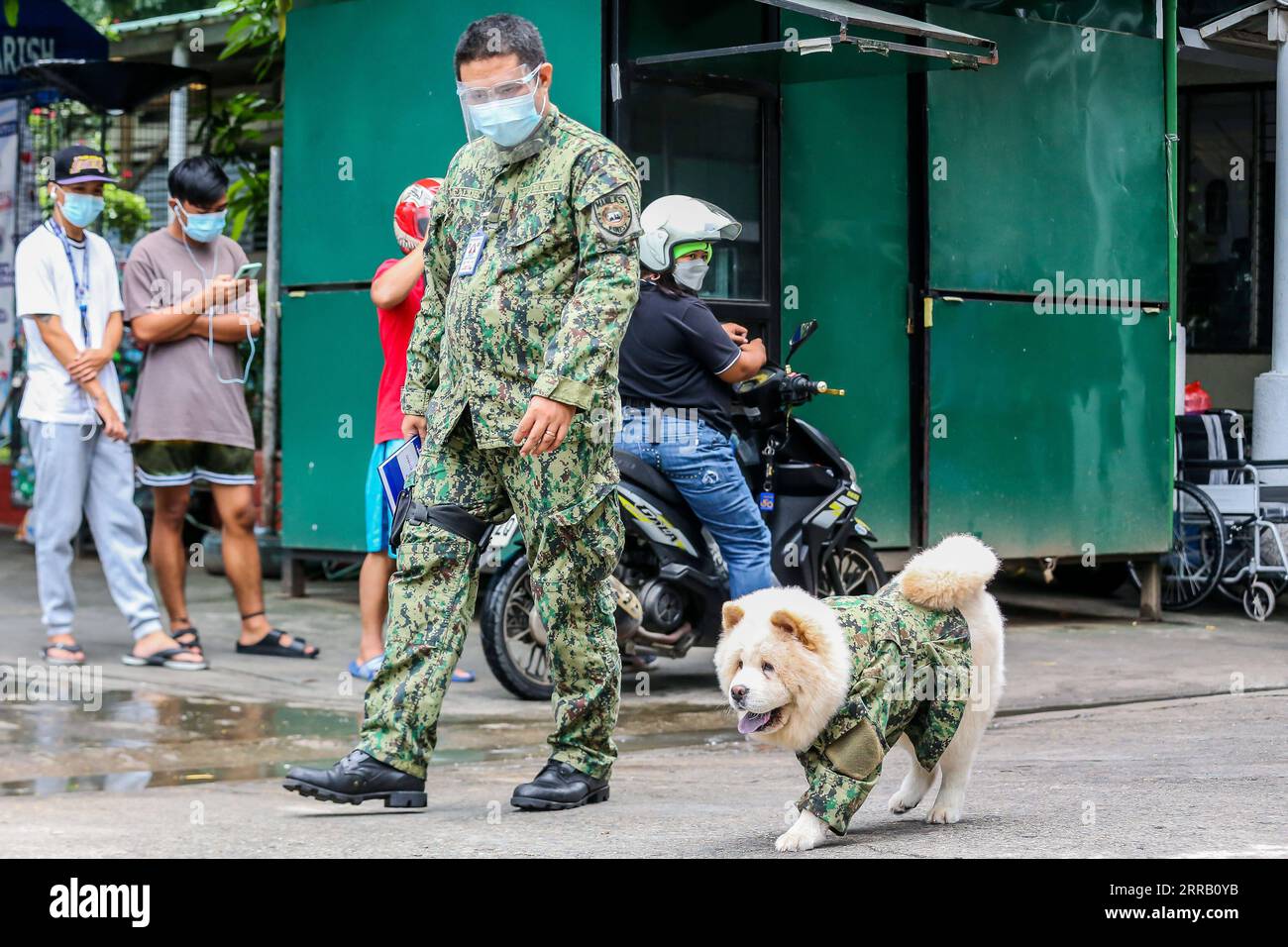 210824 -- MANILA, Aug. 24, 2021 -- Fabio, a Chow Chow dog fondly dubbed ...
