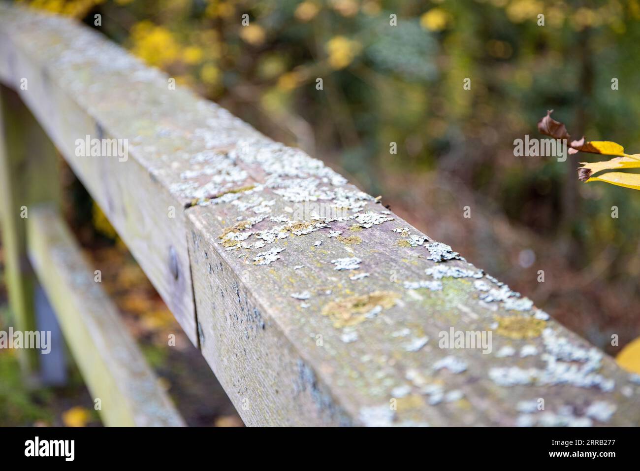 Wooden bridge timber railing hi-res stock photography and images - Alamy