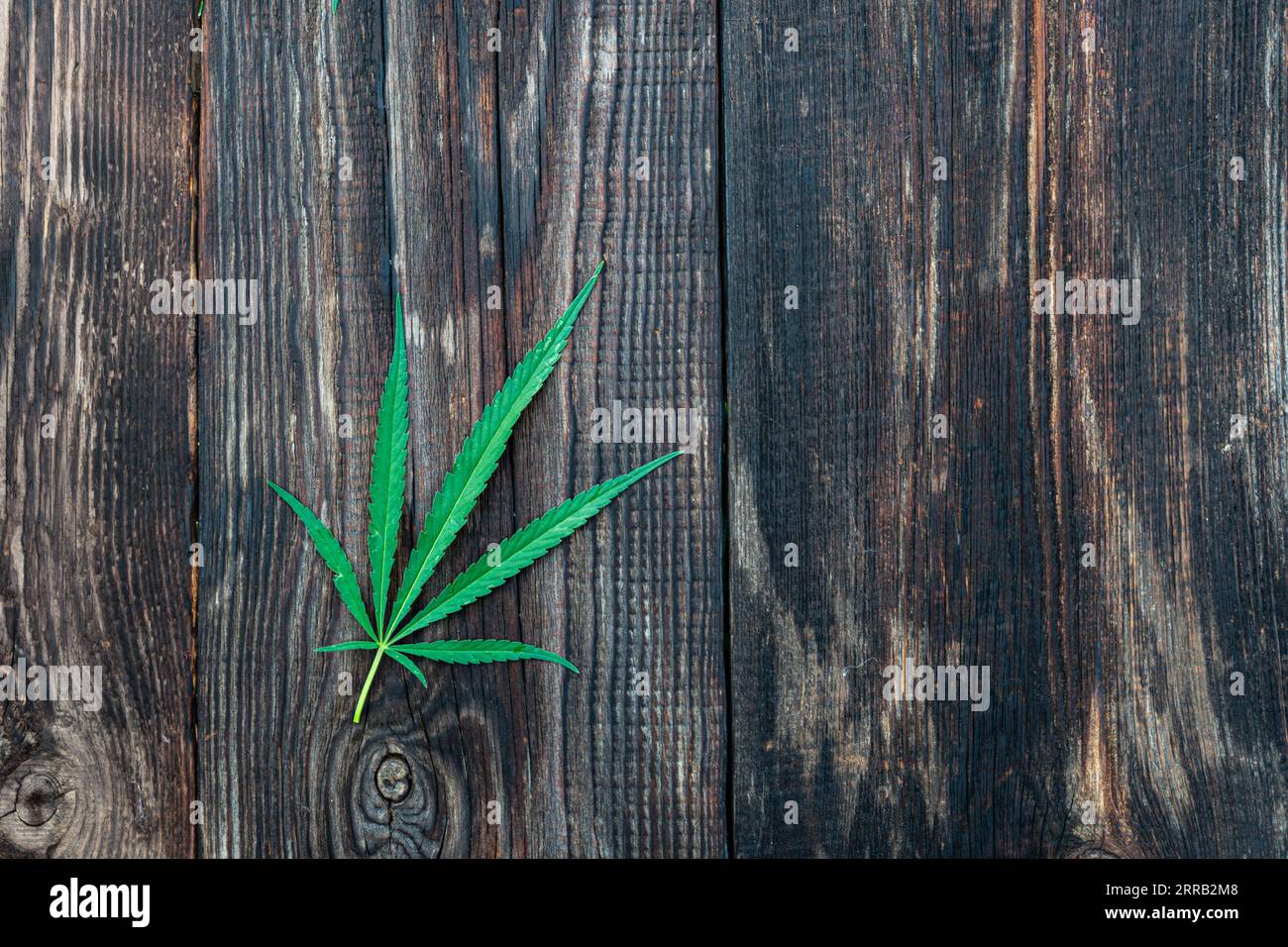 A hemp leaf on a wooden texture background close up Stock Photo
