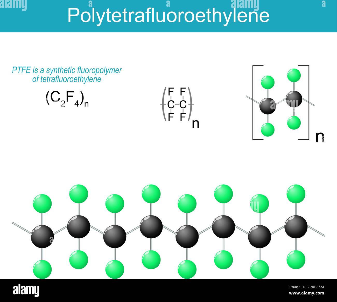 Polytetrafluoroethylene molecule. PTFE is a synthetic fluoropolymer of tetrafluoroethylene. molecular chemical structural formula and model. vector Stock Vector
