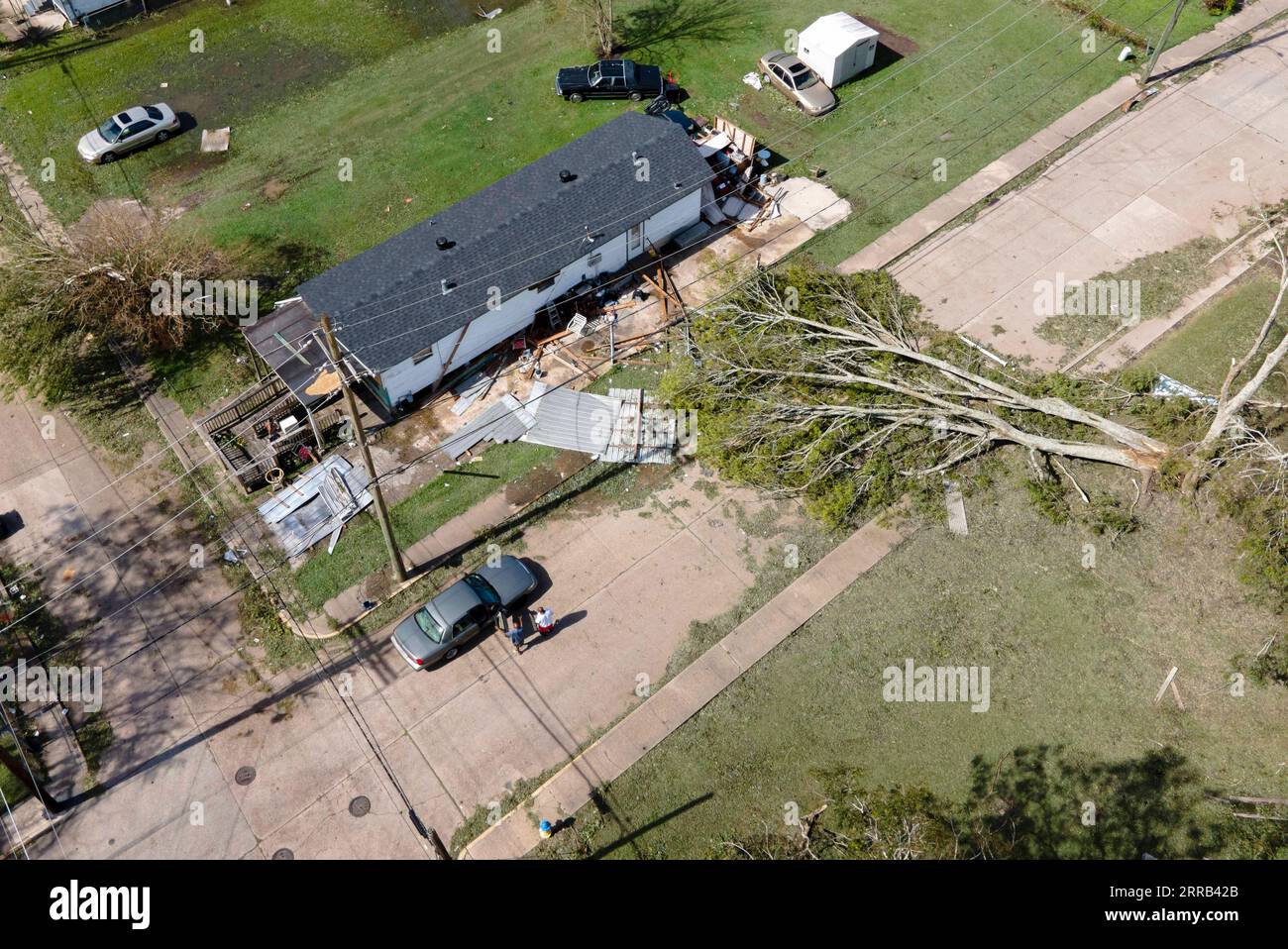 210831 -- HOUMA, Aug. 31, 2021 -- A tree is seen uprooted by Hurricane Ida in Houma, Louisiana, the United States, Aug. 30, 2021. With stranded people waiting for rescue on damaged roofs, flooded roads blocked by downed trees and power lines, and over one million people without power through Monday morning, Hurricane Ida has wreaked widespread havoc since its landfall in southern U.S. state of Louisiana on Sunday. Photo by /Xinhua U.S.-LOUISIANA-HOUMA-HURRICANE IDA-AFTERMATH NickxWagner PUBLICATIONxNOTxINxCHN Stock Photo