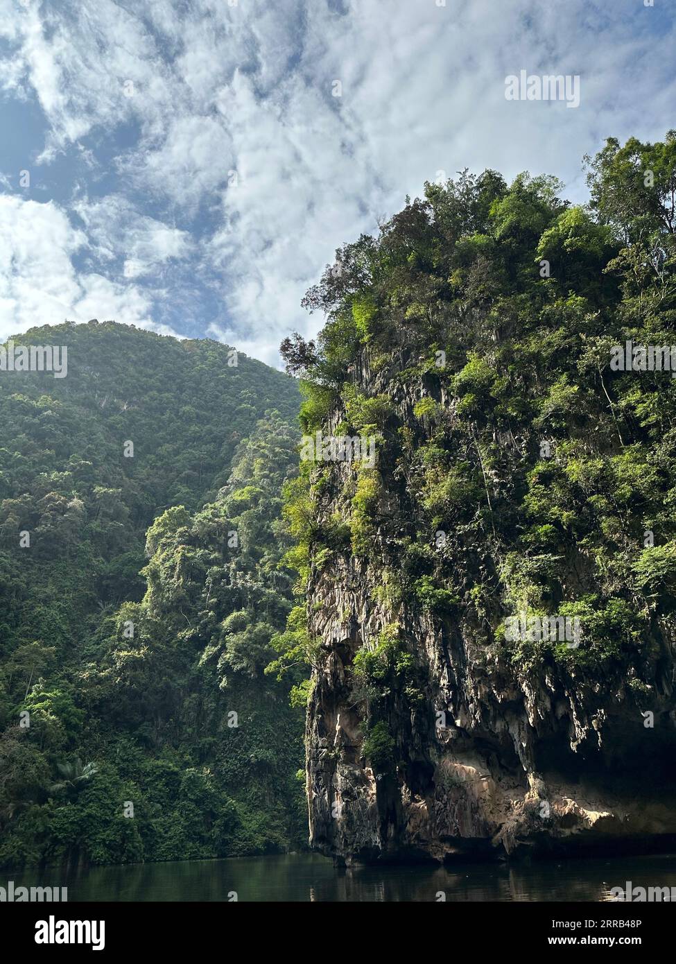 Textural contrast hi-res stock photography and images - Alamy