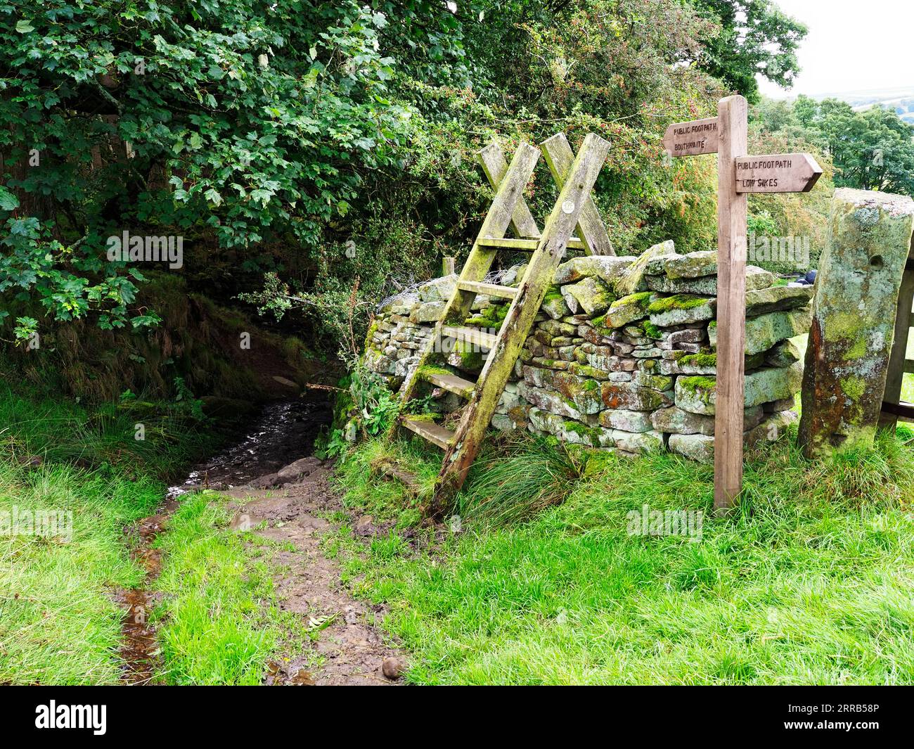 A wooden ladder stile over a dry stone wall and a footpath sign near