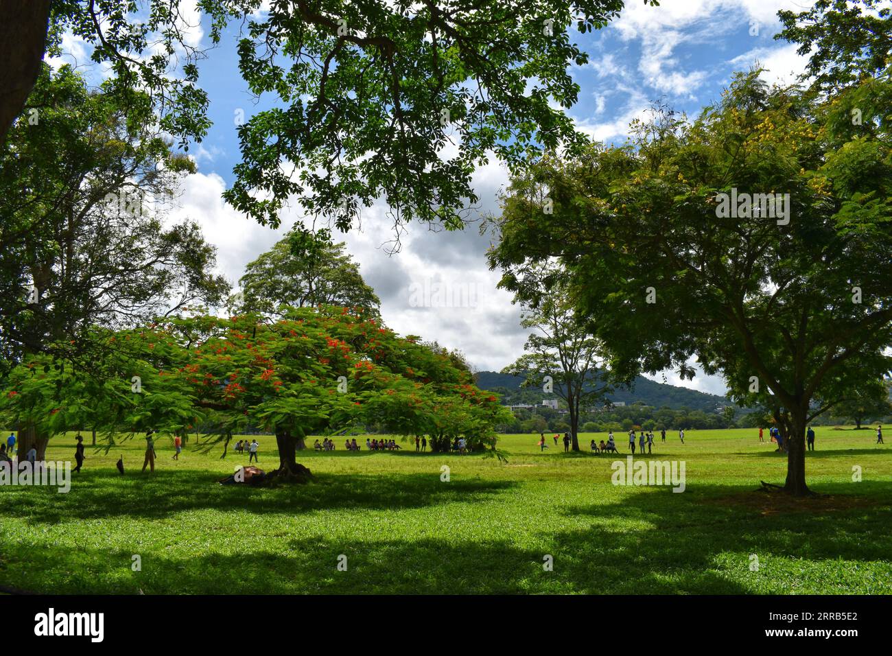Queen's Park Savannah, Port of Spain, Trinidad and Tobago Stock Photo