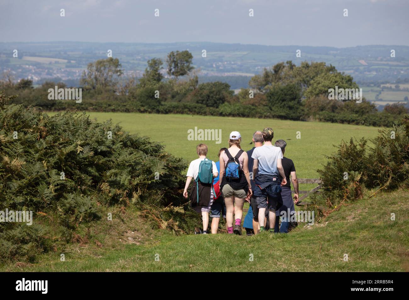 Family out walking on Pilsdon Pen hill with Dorset countryside, Beaminster, Dorset, England, United Kingdom, Europe Stock Photo