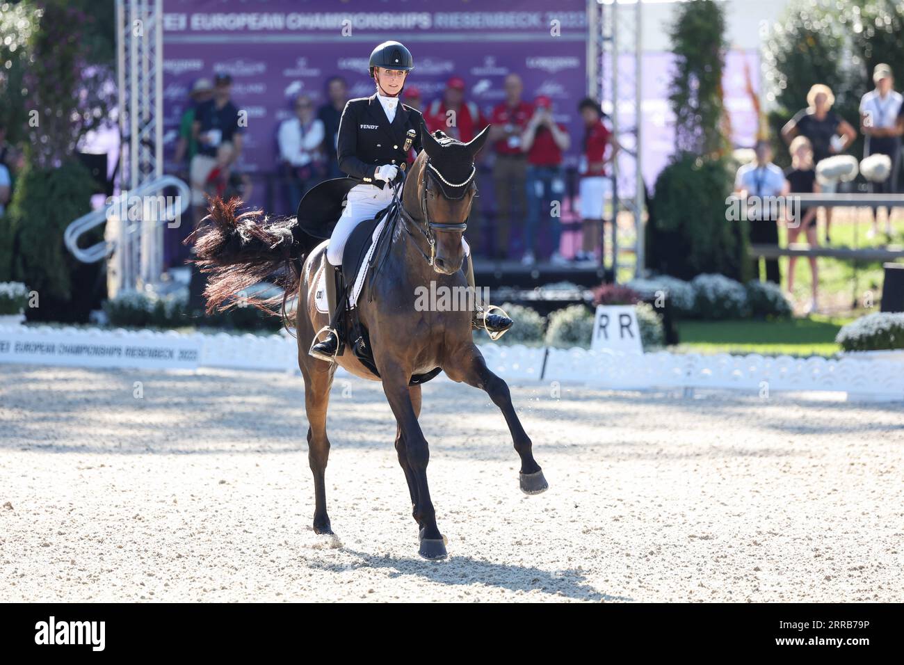 Euro Equestrian Rider Riesenbeck, Germany. 07th Sep, 2023. Equestrian sport, European ...