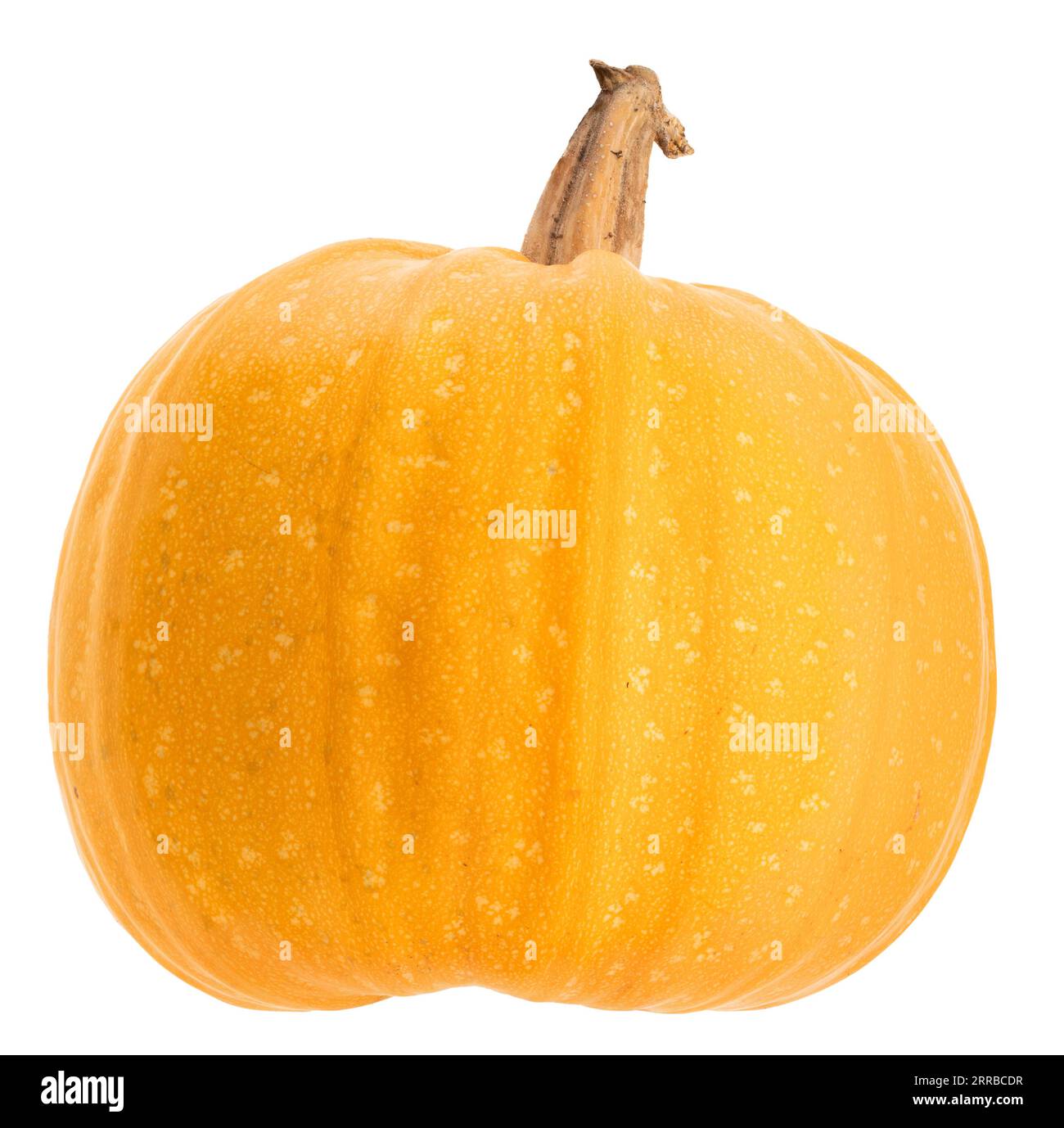 Orange round pumpkin isolated on white background Stock Photo
