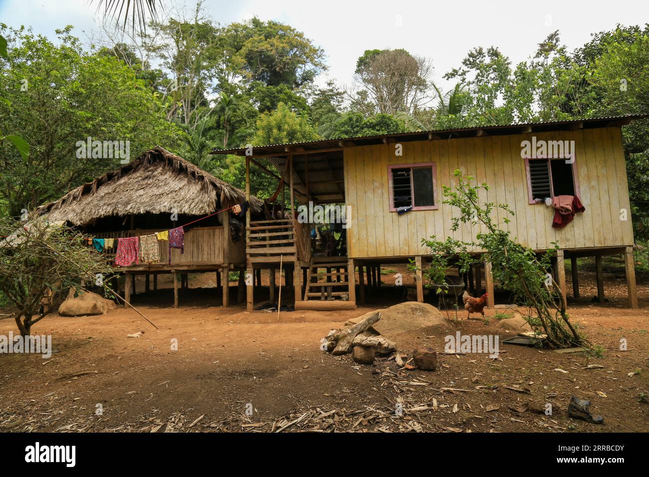 Ethnic wooden residential house in the jungle Stock Photo - Alamy
