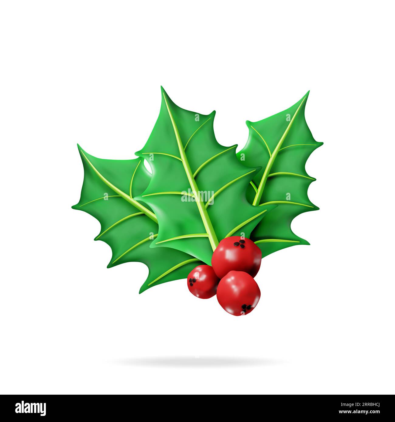 3D Christmas Twig of Holly with Leaves and Berries Stock Vector Image ...