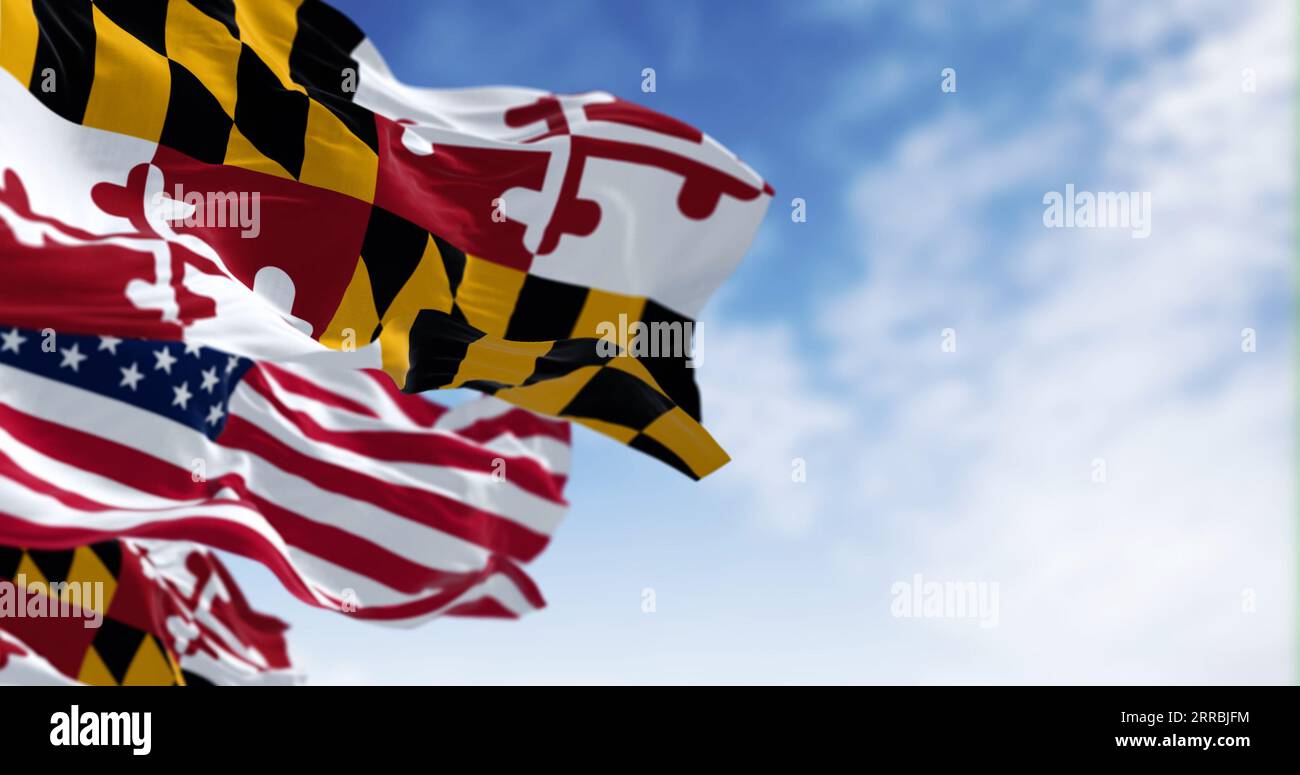 Flags of Maryland and of the United States waving in the wind on a ...
