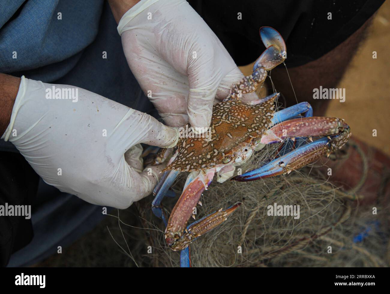 Refugee rush hi-res stock photography and images - Alamy