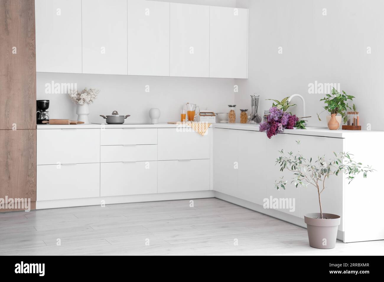Interior of light kitchen with white counters and flowers Stock Photo ...