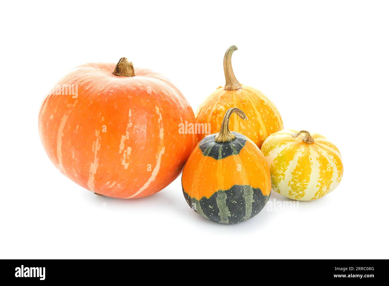 Different fresh pumpkins on white background Stock Photo - Alamy