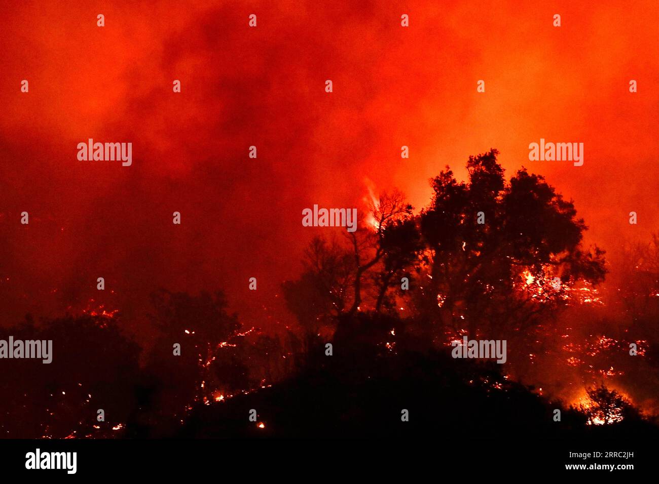 211014 -- SANTA BARBARA COUNTY, Oct. 14, 2021 -- Flames and heavy smoke are seen in the Alisal Fire area, north of Santa Barbara County, California, the United States, Oct. 13, 2021. A fast growing wildfire in Southern California swelled to over 16,000 acres 64.7 square km as of Thursday morning with more evacuations ordered. The Alisal Fire is now 16,801 acres with only 5 percent containment, said the Santa Barbara County Fire Department in its latest update. U.S.-SANTA BARBARA COUNTY-WILDFIRE GaoxShan PUBLICATIONxNOTxINxCHN Stock Photo