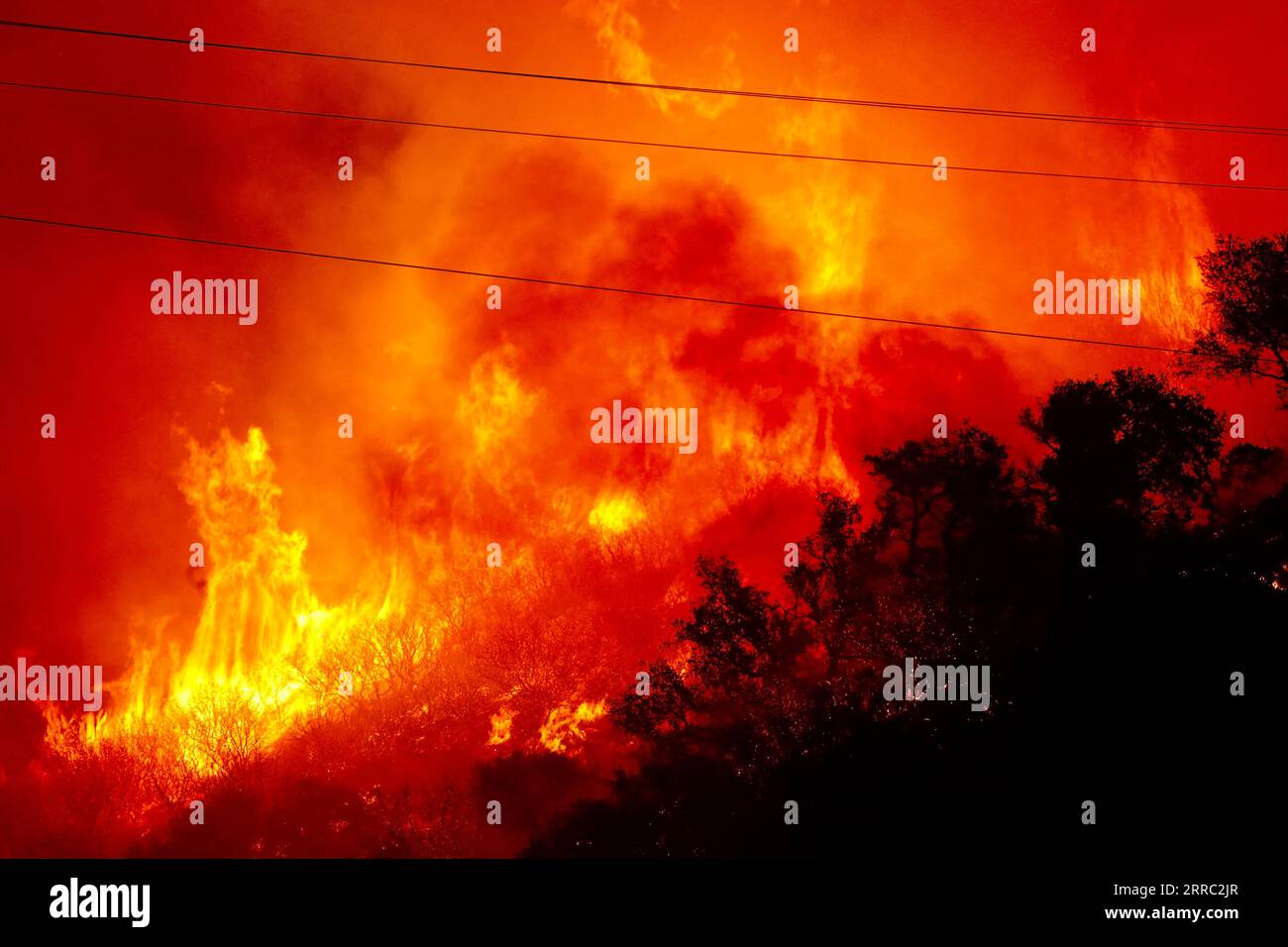 211014 -- SANTA BARBARA COUNTY, Oct. 14, 2021 -- Flames and heavy smoke are seen in the Alisal Fire area, north of Santa Barbara County, California, the United States, Oct. 13, 2021. A fast growing wildfire in Southern California swelled to over 16,000 acres 64.7 square km as of Thursday morning with more evacuations ordered. The Alisal Fire is now 16,801 acres with only 5 percent containment, said the Santa Barbara County Fire Department in its latest update. U.S.-SANTA BARBARA COUNTY-WILDFIRE GaoxShan PUBLICATIONxNOTxINxCHN Stock Photo