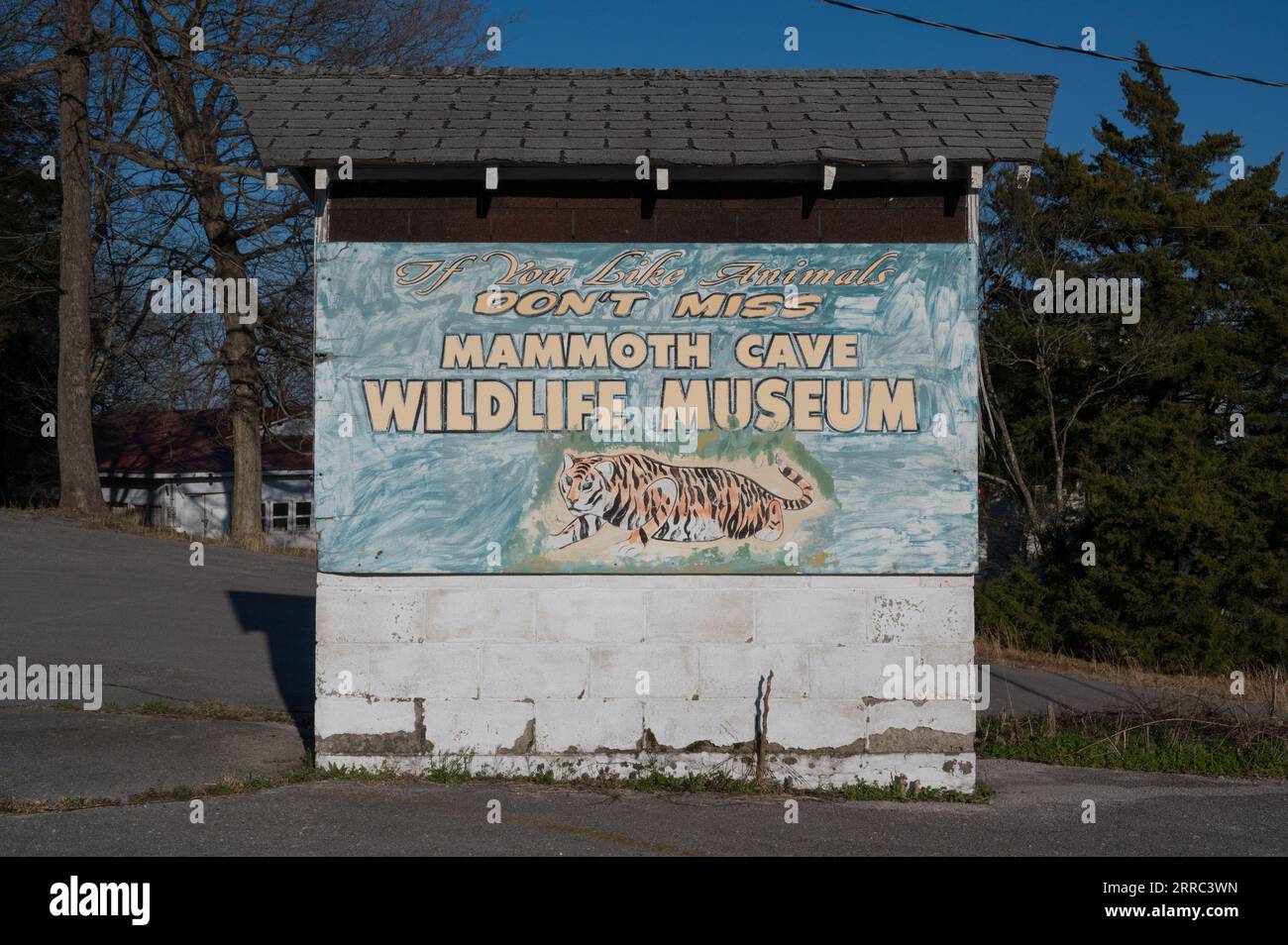 Vintage billboard for Mammoth Cave Wildlife Museum in Cave City, KY