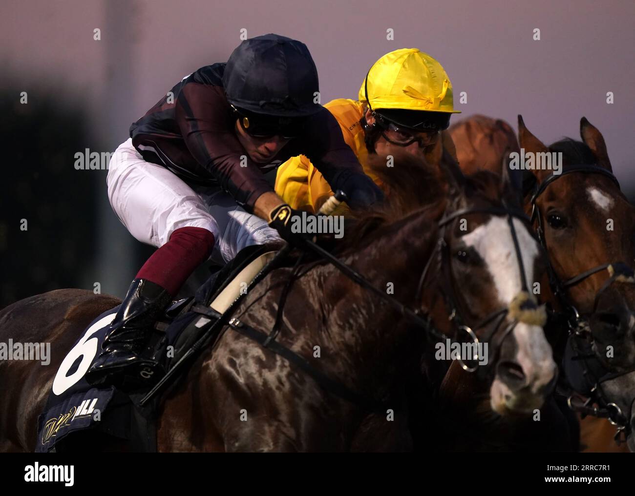 Painters Palette ridden by Frederick Larson (left) passes Kingori ridden by Luke Morris on their way to winning the William Hill Extra Place Races Daily Racing League Race 33 Handicap at Wolverhampton Racecourse. Picture date: Thursday September 7, 2023. Stock Photo