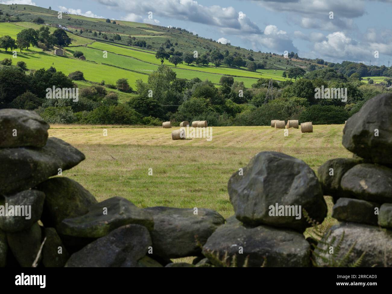 A view of hay bales seen through a dry stone wall. Baildon Moor in Yorkshire is seen in the distance. Stock Photo