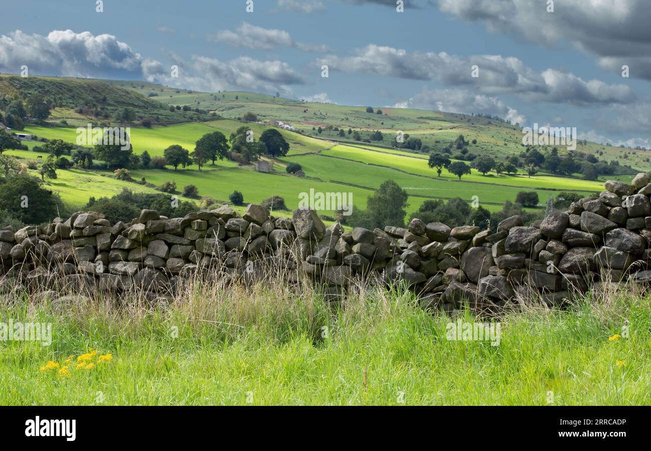 A dry stone wall at the edge of a field in Baildon, Yorkshire. Baildon Moor can be seen in the distance. Stock Photo