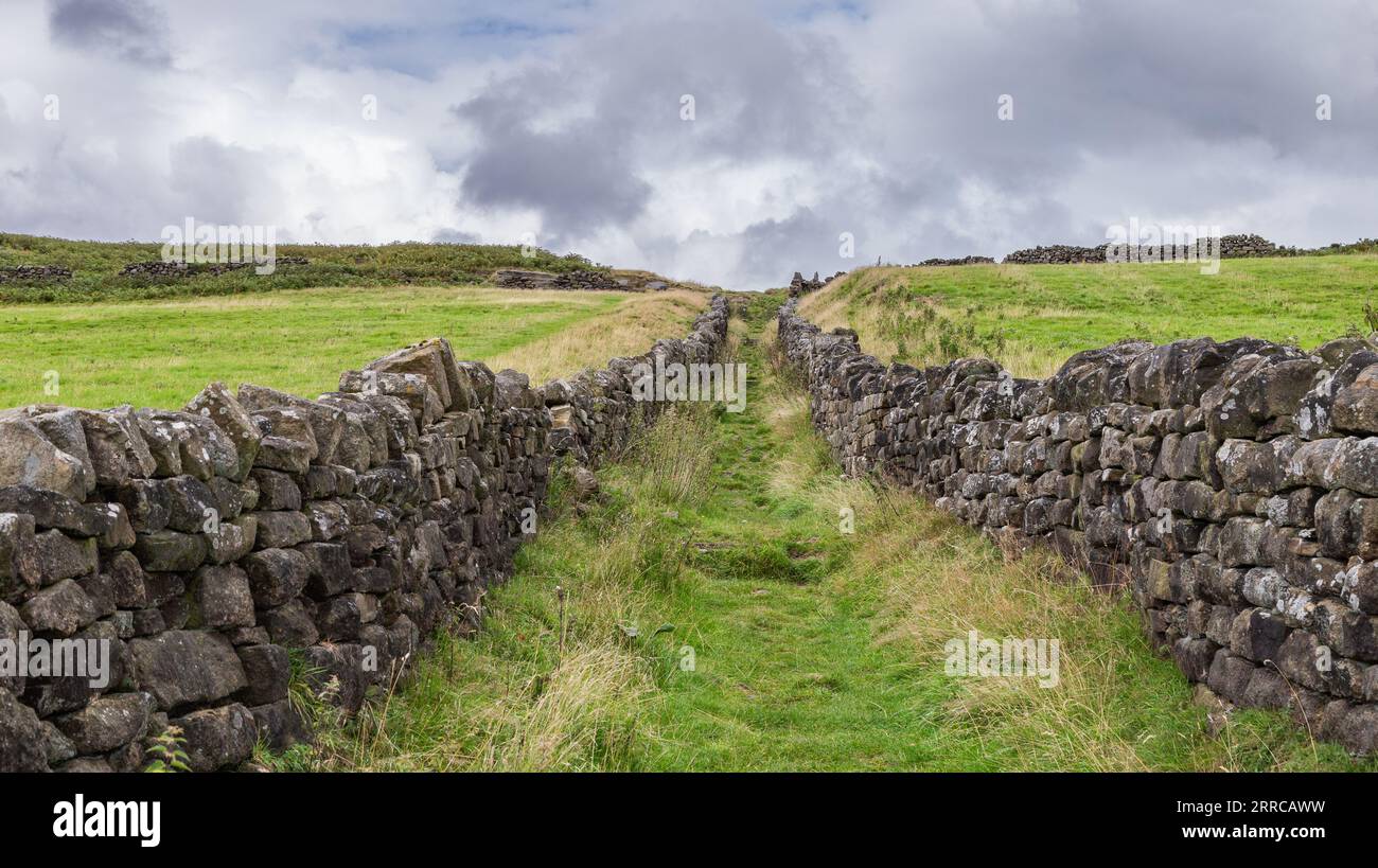 A footpath between two dry stone walls (walled track) in Yorkshire. The footpath leads from Dick Hudson's Public House up onto Rombald's Moor. Stock Photo