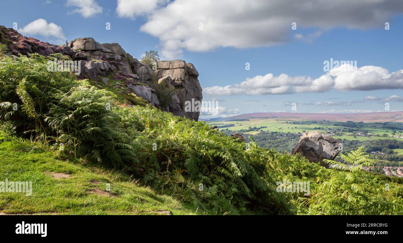 The Cow and Calf Rocks on Ilkley Moor, Yorkshire. Bracken (Pteridium aquilinum) grows under the rocks  on the edge of the moor. Stock Photo