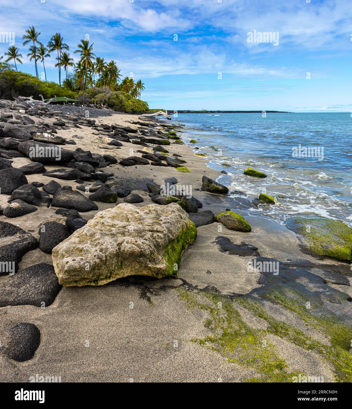 Coral and Lava Rock on Kiholo Bay Beach, Hawaii Island, Hawaii, USA ...