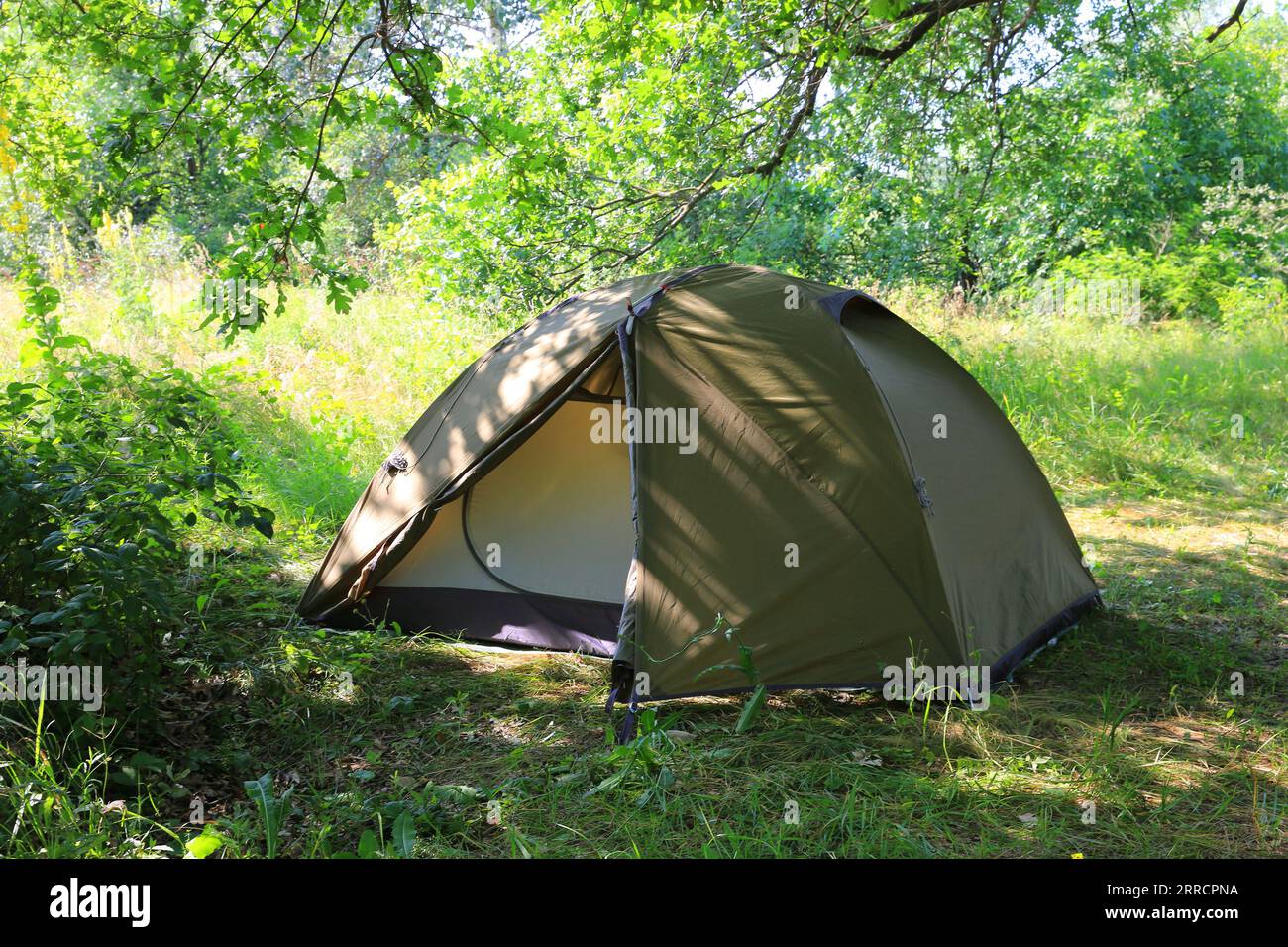 tourist tent on sunny summer meadow in forest Stock Photo - Alamy