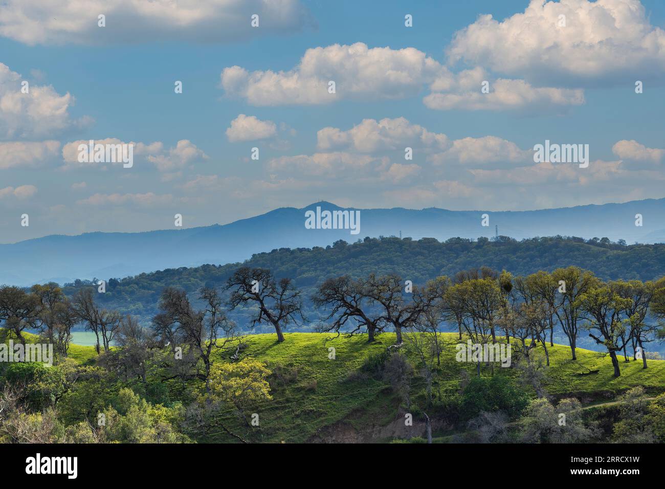 Views of Mt Umanhum via Joseph D Grant County Park, Santa Clara County, California, USA. Stock Photo