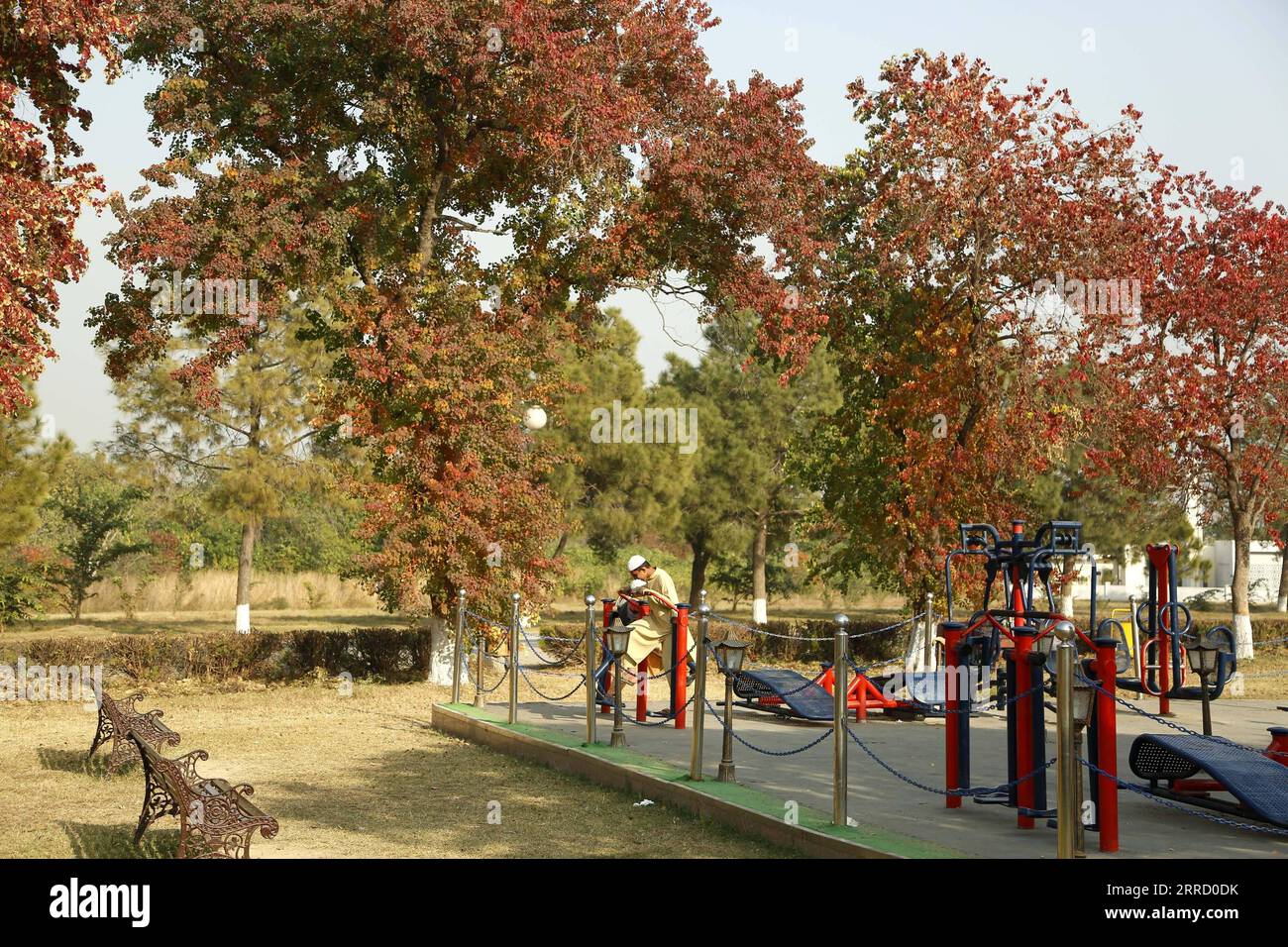 211125 -- ISLAMABAD, Nov. 25, 2021 -- Photo taken on Nov. 25, 2021 shows the autumn scenery of Fatima Jinnah Park in Islamabad, capital of Pakistan.  PAKISTAN-ISLAMABAD-AUTUMN SCENERY AhmadxKamal PUBLICATIONxNOTxINxCHN Stock Photo