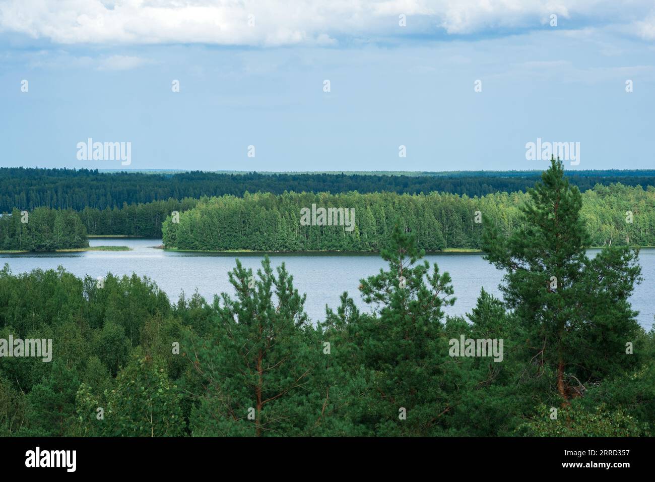 Aerial mixed boreal forest hi-res stock photography and images - Alamy
