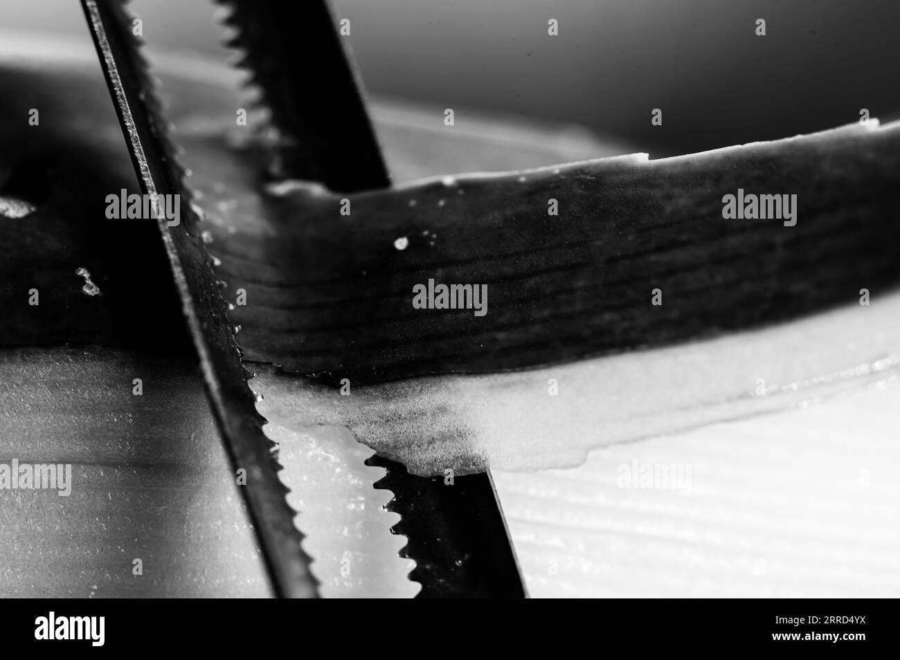 Selective focus on a vegetable peeler removing the outer skin of a