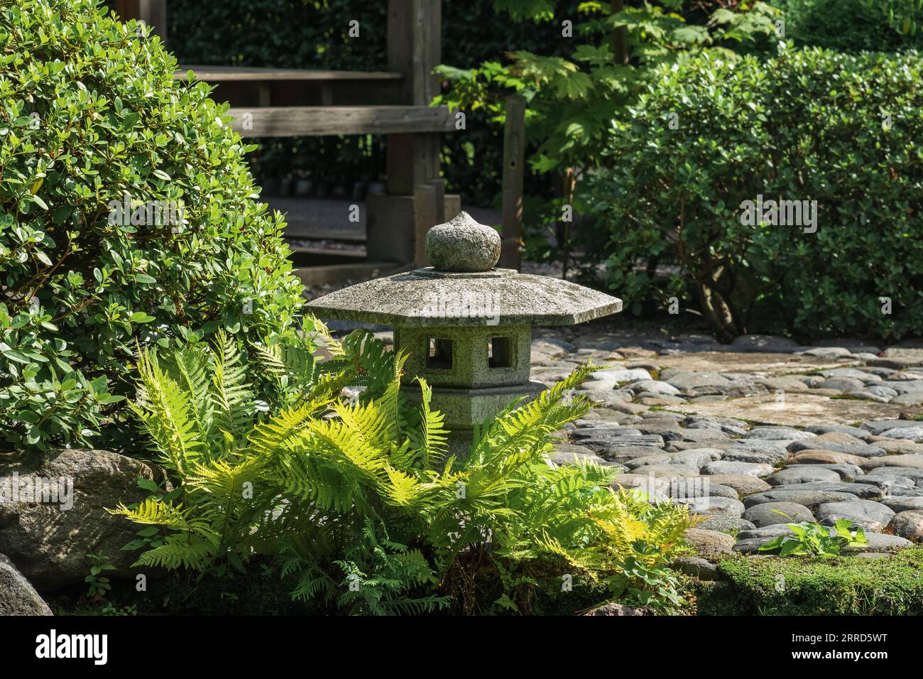 stone lantern amonf ferns in a Japanese garden Stock Photo