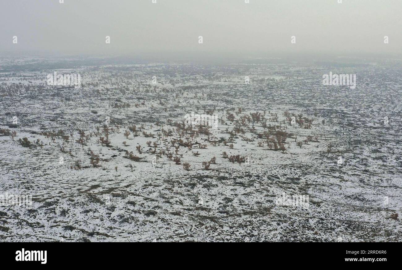 211206 -- WUSU, Dec. 6, 2021 -- Aerial photo taken on Dec. 4, 2021 shows a view of the Ganjia Lake forest region in Wusu City of northwest China s Xinjiang Uygur Autonomous Region. As winter approaches, authorities have been paying more attention to forest fire prevention in the Ganjia Lake forest region in the west of Junggar Basin. Forest rangers have also stepped up their patrolling efforts. In the Ganjia Lake forest region, there are 18 forest management and protection stations that are responsible for forest fireproofing, management of forest resources and grassland and wild animal protec Stock Photo