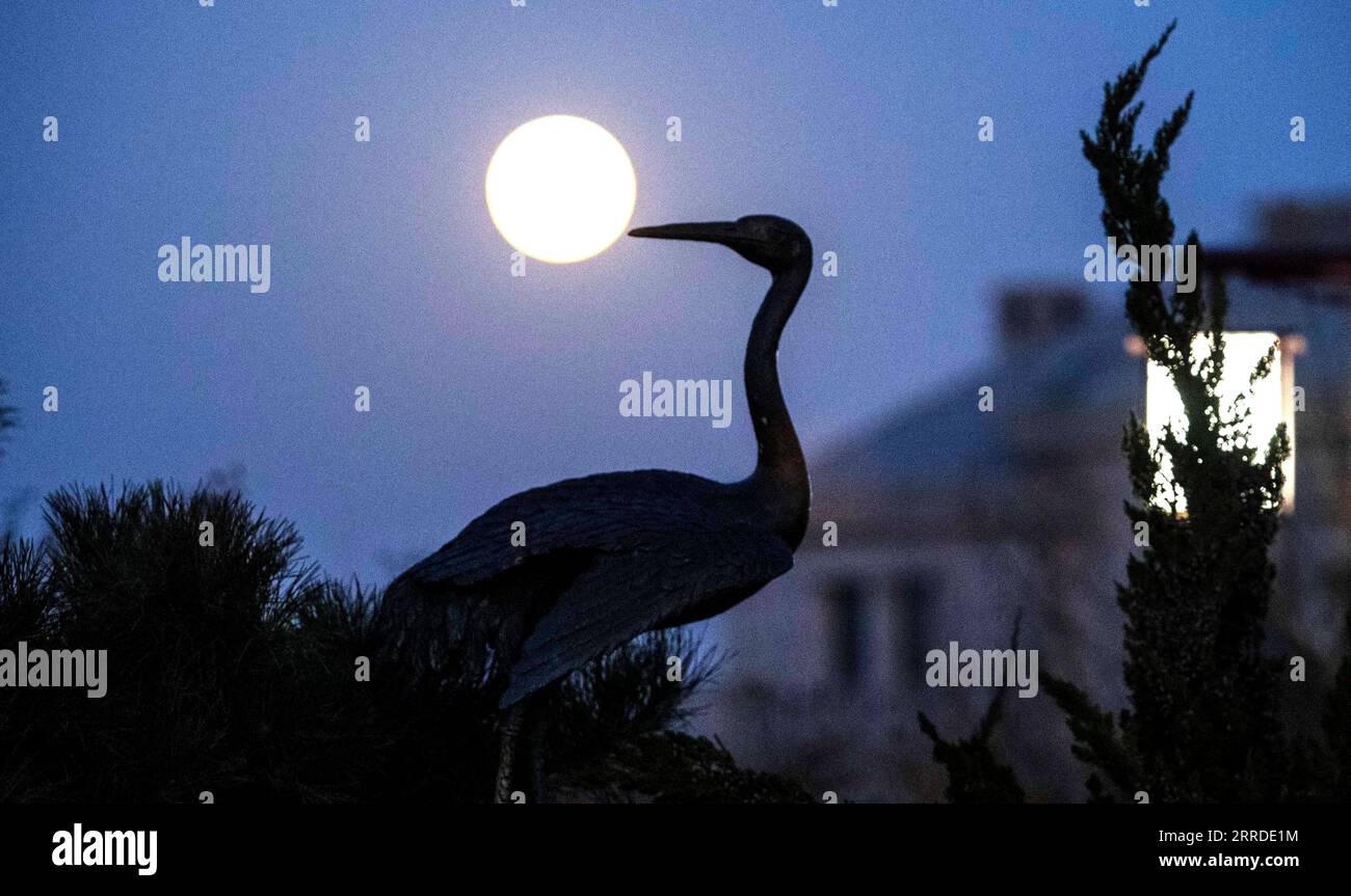 211219 -- YANTAI, Dec. 19, 2021 -- Photo taken on Dec. 19, 2021 shows the full moon in Penglai District, Yantai City, east China s Shandong Province. The last full moon in the year of 2021 appeared on Sunday, the sixteenth day on the eleventh month of the Chinese lunar calendar. Photo by /Xinhua CHINA-FULL MOON CN YuxLiangyi PUBLICATIONxNOTxINxCHN Stock Photo