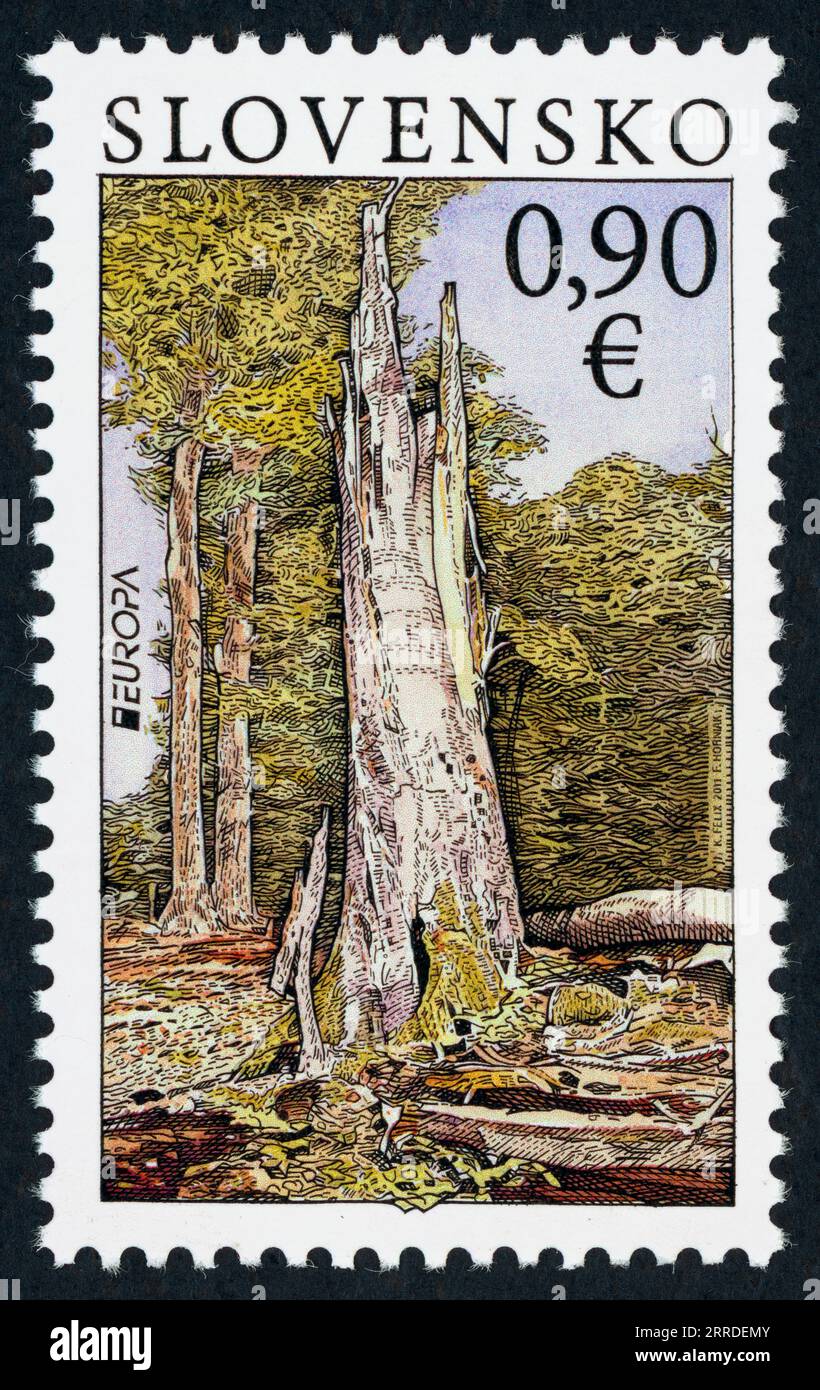 EUROPA 2011: Forests – National Park Poloniny. Postage stamp issued in Slovakia in 2011. Stock Photo